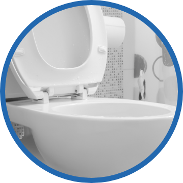 Lincoln Clogged Toilet Repair